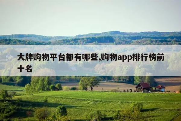 大牌购物平台都有哪些,购物app排行榜前十名