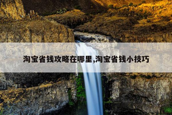 淘宝省钱攻略在哪里,淘宝省钱小技巧