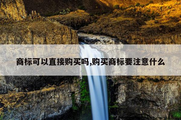 商标可以直接购买吗,购买商标要注意什么