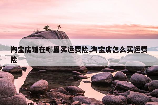 淘宝店铺在哪里买运费险,淘宝店怎么买运费险