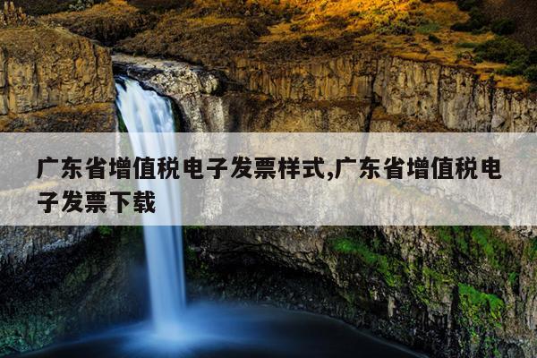 广东省增值税电子发票样式,广东省增值税电子发票下载