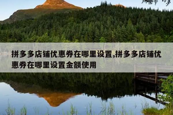 拼多多店铺优惠券在哪里设置,拼多多店铺优惠券在哪里设置金额使用